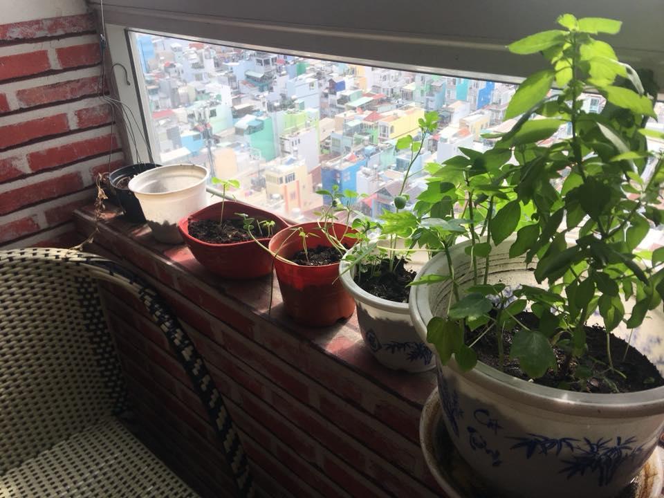 Skygon Hostel Ho Chi Minh City Exterior photo